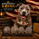 Kingston's Koins's profile photo